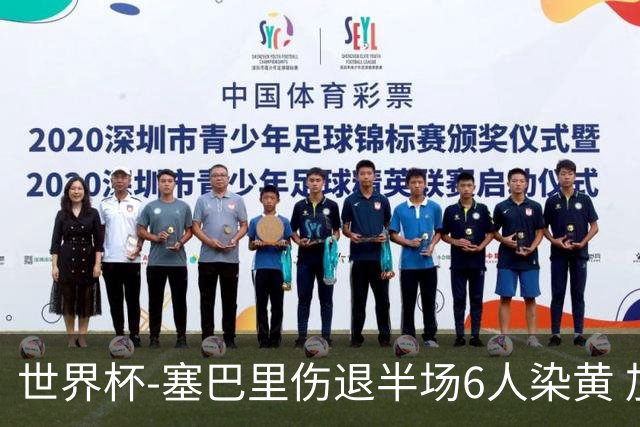 世界杯-塞巴里伤退半场6人染黄 加拿大半场0-0摩洛哥